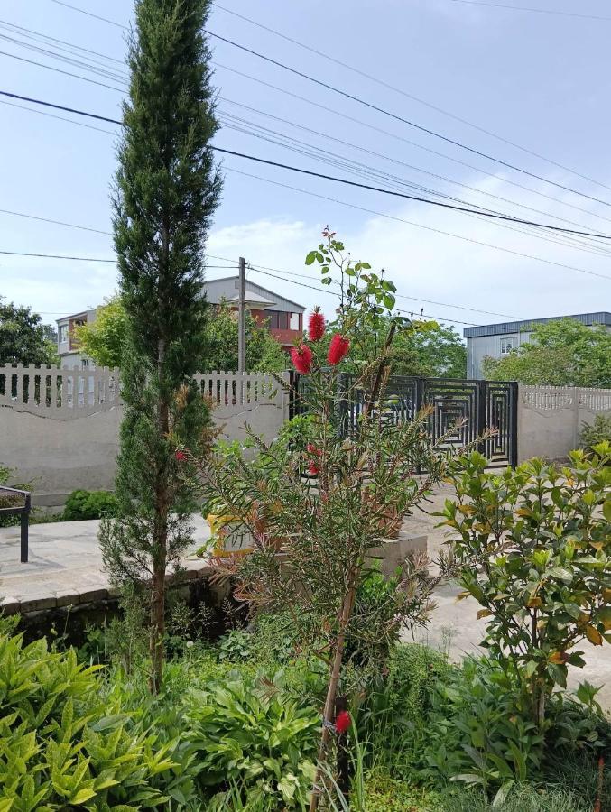 Natia Guest House Кобулети Екстериор снимка