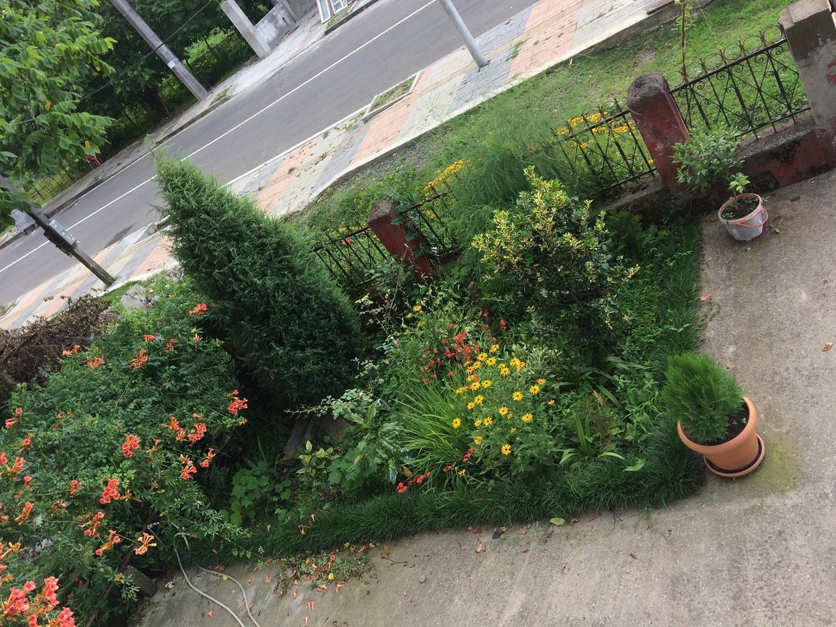 Natia Guest House Кобулети Екстериор снимка